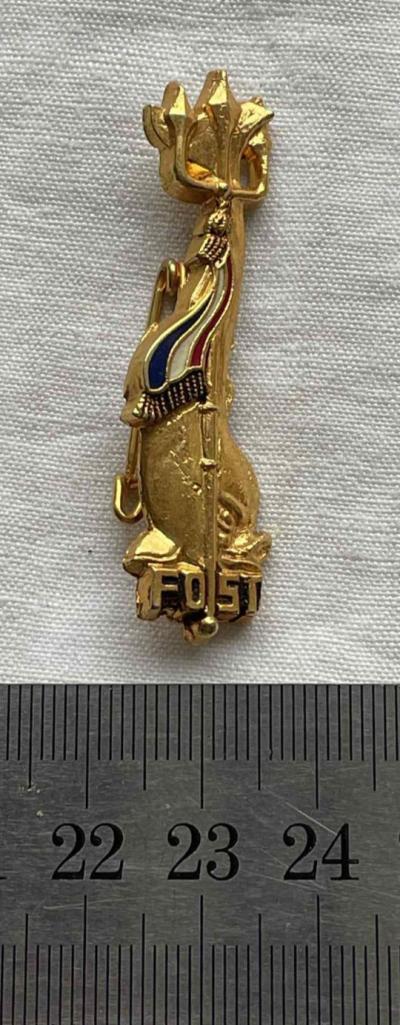 MILITARIA INSIGNE FOST DRAGO PARIS FORCE OCEANIQUE STRATEGIQUE