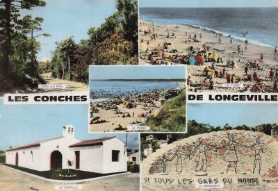 85 DANS LES PINS FORET DE LONGEVILLE