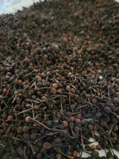1kg Poivre sauvage voatsiperiery de Madagaskar