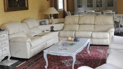 Canap� d'angle haut de gamme en cuir pleine fleur beige   5 places