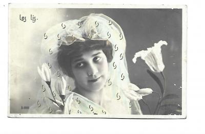 SHOW   ARTIST To Be Identified With LILIES