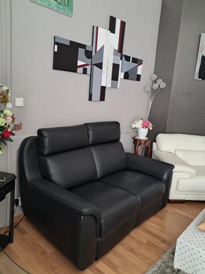 canap� 2 places cuir