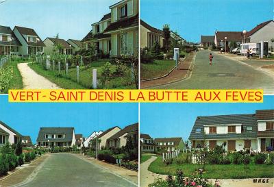 77 VERT SAINT DENIS LA BUTTE AUX FEVES