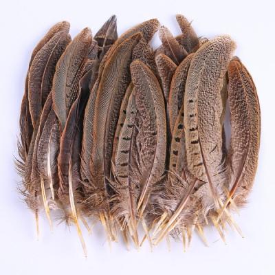 50 Pi�ces Plumes D'Artisanat d'art Plumes de Faisan de 10 15cm pour Fabrication