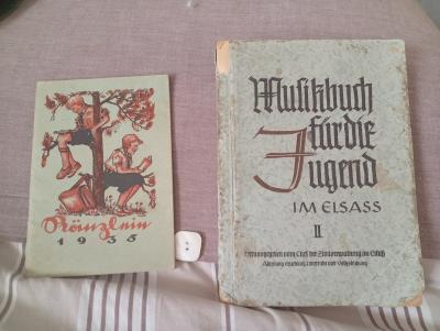 ww2 tr�s beau lot  livre  HJ-DJ plus  31 boutons marron et noir