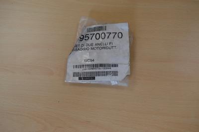 PALAZZETTI 2 Bagues Fixation Motor�ducteur Po�le R�f 895700770