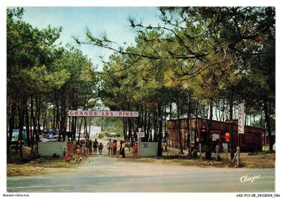 ASZP13 0818 85   OLONNE SUR MER   Grange Les Pins