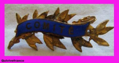 BG1254   Insignia Badge Palme Comit�