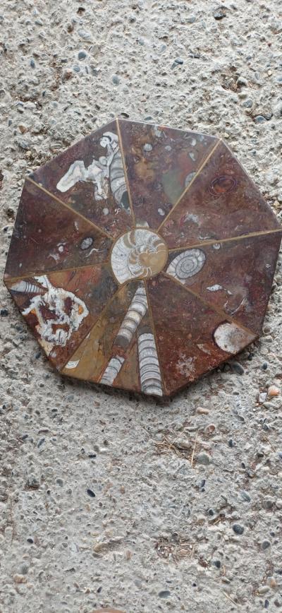 Dessous De Plat En Pierre Avec Fossiles