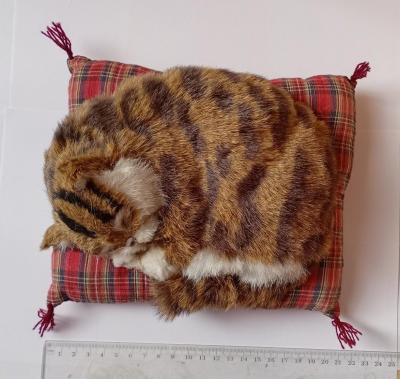 d�coration chat coussin