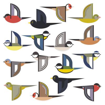 16 Grands Autocollants de Fen�tre pour Prot�ger Contre les Coups d'Oiseaux