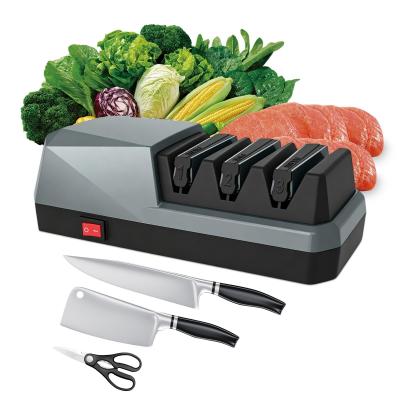 Aiguiseur Couteaux �lectrique Professionnel Gris - Bleu