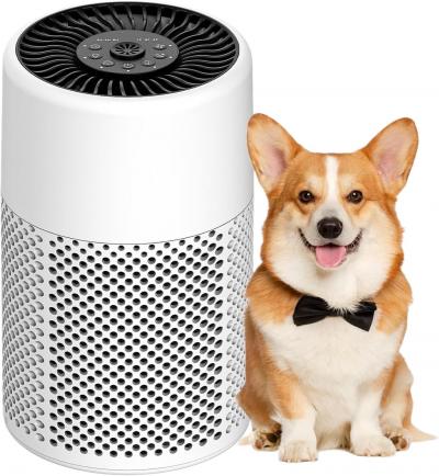 Purificateur d'Air pour Chambre Aromath�rapie Blanc Chauffage Climatisation