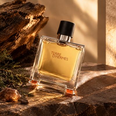 Terre D'Hermes by Hermes Parfum 3.4 fl oz 100ml Cologne for Men