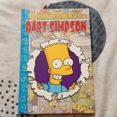 Le bouquin un brin barjo de Bart Simpson   The Simpsons   Couverture rigide