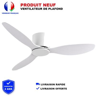 Ventilateur De Plafond 132CM 5 Pales Bicolores LED Gradable T�l�commande