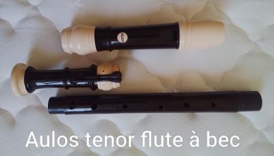 flute � bec Tenor Aulos Symphony 511 E  avec �tui  tr�s bonne condition