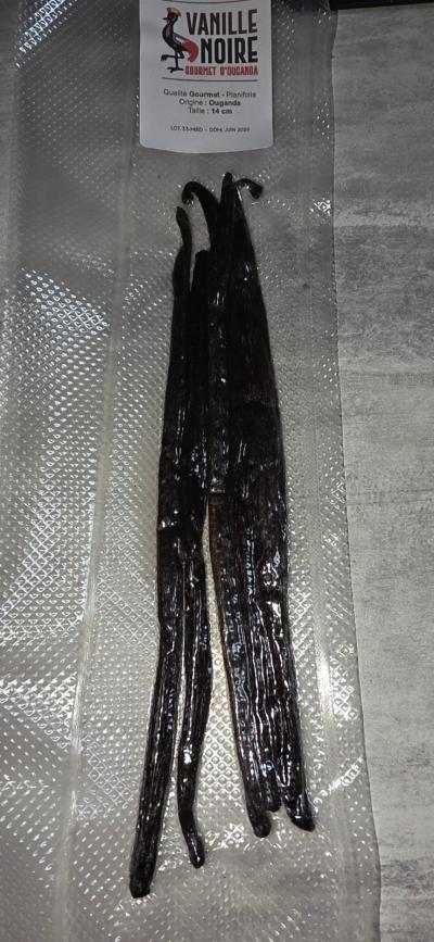 Vanille Noire gousses de vanille Planifolia noir 14 cm sous vide