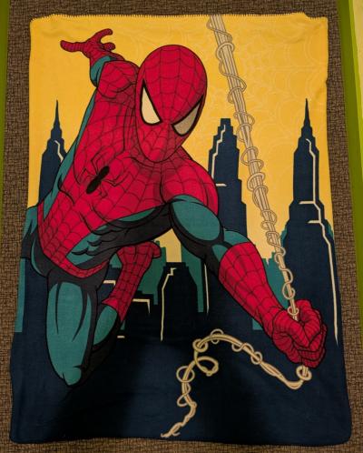 Plaid Spiderman, Marvel, DC Comics, Super H�ros, Couverture