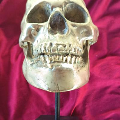 Sculpture d�corative cr�ne Laiton  argent� finition m�tallique sur support noir