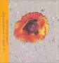 Le jardin du presbyt�re : carnet des 4 saisons, Marie France Piel