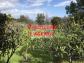 Maison calenzana 114.9 m� 6 pi�ces
