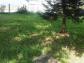 Maison ussel 600 m� 0 pi�ces
