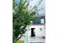 Maison hautmont 123 m� 5 pi�ces