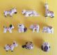 F�ve  S�rie compl�te     Animaux en arlequin : chat chien tortue �l�phant cheval
