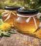 Gel�e de pissenlit artisanale   Saveur miel   Produit naturel fran�ais  ...