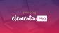 Elementor Pro WordPress Plugin, Builder Blog Pour Site Vitrine et eCommerce