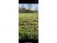 Terrain hauteville 5000 m� 0 pi�ces