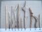 LOT DE 10 MORCEAUX DE BOIS FLOTTE POUR CR�ATION D�CO