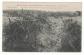 CPA 51   LE BOIS SABOT : TRANCH�E ALLEMANDE (MARNE) MILITARIA GUERRE 1914 1918
