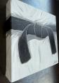tableau judo ceinture noire, a�kido, krav maga, karat� ou autre sport de combat