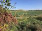 Autre bagneux 1333 m� 0 pi�ces