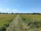 Terrain saint-loub�s 33600 m� 0 pi�ces