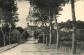 Pin l'Emagny   Vue g�n�rale Avenue