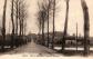 Pin l'Emagny   L'avenue