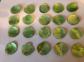 Lot De 20 Boutons En Nacre Couleur Verte Neufs