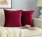 Lot de 2 taies d'oreiller en velours pour canap� et lit antiacariens et hypoa...