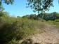 Terrain parisot 0 m� 0 pi�ces