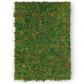 Plaque de mousse verte A4 297x210 mm, Tapis d�coratif, Mousse naturelle sur f...
