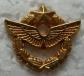 PIN'S MILITAIRE DU BREVET DE PILOTE