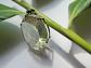 Sublime pendentif Argent  925   Citrine Topaze jaune   en cage   Poin�on cygne