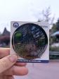 Pin's Disney ch�teau  Disneyland Railroad   12 Avril 2025   EL 800 ex