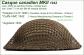 WW2 Casque Canadien Canadian MK2 DDAY British helmet Camouflaged 2 tone Helmet