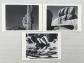 Lot  3  Cartes Postales   EDWARD WESTON   Photographie d'Art  Postcards