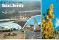 Carte Postale   44   Saint Br�vin les Pins   Multivues   Bateaux   Voile   Autom