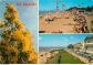 Carte Postale   44   Saint Br�vin les Pins   Multivues   Fleurs   Automobiles